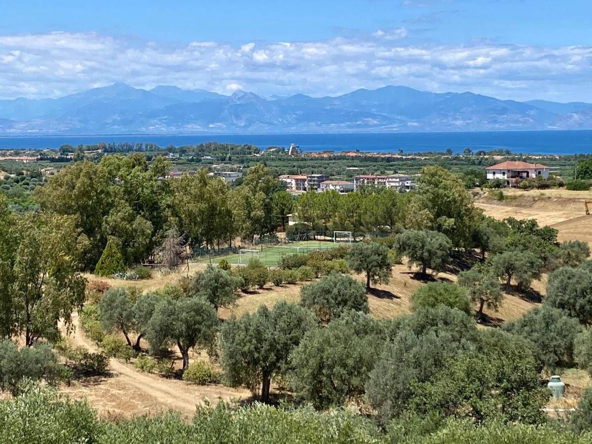 Le Colline Del Gelso-Masseria Mazzei Vendégház Rossano Kültér fotó